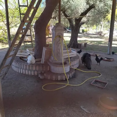 Heaven Trilocale 4 Апартаменты