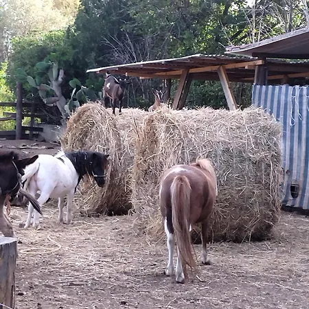 Heaven Trilocale 4 Ricadi