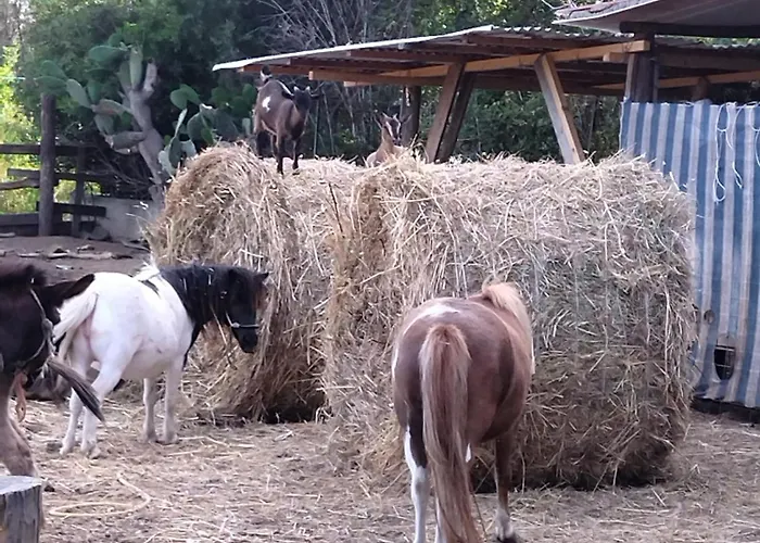 Heaven Trilocale 4 Ricadi